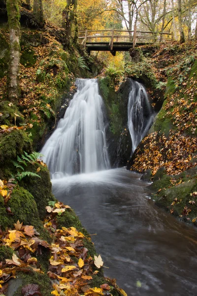 Las Hojas Rodean Cascada Rausch Arroyo Endert Bajo Puente Día — Foto de Stock