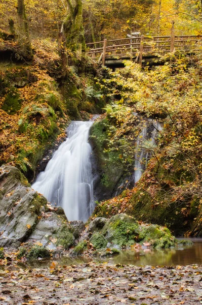 Güzel Rausch Şelalesi Bir Sonbahar Günü Almanya Nın Cochem Kenti — Stok fotoğraf