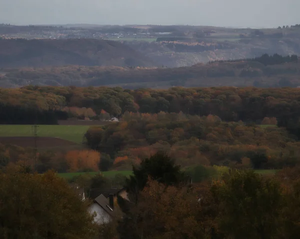 Árvores Colinas Escuro Nebuloso Dia Outono Alemanha Rural — Fotografia de Stock