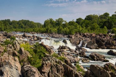 Virginia 'da güneşli bir bahar gününde Great Falls Park' taki Potomac Nehri 'nin etrafındaki ağaçlar.