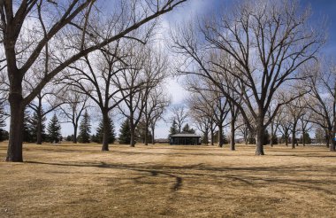 Gillette, Wyoming - 25 Ocak 2021: Gillette, Wyoming 'de güneşli bir bahar gününde Dalbey Memorial Park' ta sıra sıra ağaçlar.