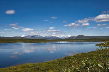 Alaska 'da güneşli bir yaz gününde Denali Otoyolu' ndaki küçük bir gölde mavi sudaki yansımalar.