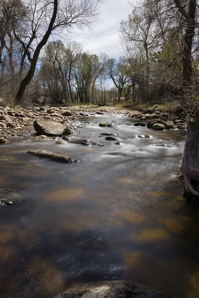 Buffalo, Wyoming 'de bir bahar günü taşlı küçük derenin etrafındaki ağaçlar..
