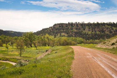 Wyoming 'deki Devil' s Tower yakınlarında güneşli bir bahar gününde yol kenarındaki yeşil çimenler ve tepeler..