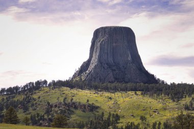 Wyoming 'de bulutlu bir bahar gününde Şeytan Kulesi' nin altındaki ağaçlı tepeler..