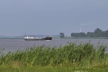 Geltow, Almanya - 16 Temmuz 2021: Bir yaz günü Almanya 'nın Geltow kentinin yanındaki suda mavna. 