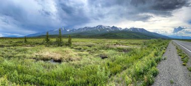 Tok ve Delta kavşağı arasındaki otoyol boyunca dağlar, bulutlu bir bahar gününde Alaska. 
