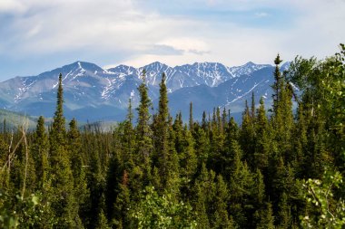 Alaska 'da bulutlu bir bahar gününde Tok ve Delta kavşağı arasındaki yeşil ağaçların arkasındaki dağlar.
