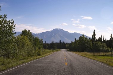 Delta kavşağı yakınlarında güneşli bir bahar gününde Alaska otoyolu yakınındaki bir yolda dağ.. 