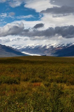 Alaska 'daki Denali Otobanı' nda bulutlu bir yaz gününde çayırların arkasındaki buzulda..