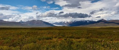 Alaska 'daki Denali Karayolu' nda bulutlu bir yaz gününde, çayırların arkasındaki buzulun panosu..