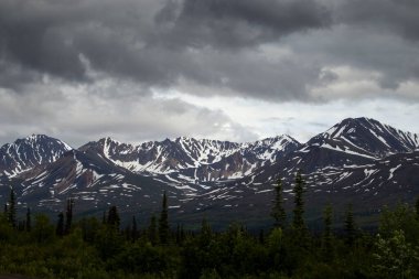 Alaska 'daki Denali Otoyolu' nda karanlık ve bulutlu bir yaz gecesinde dağlar..