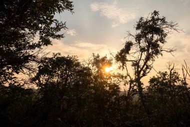 Donnelly Dome 'da gece yarısı güneş batıyor. Delta Junction, Alaska.