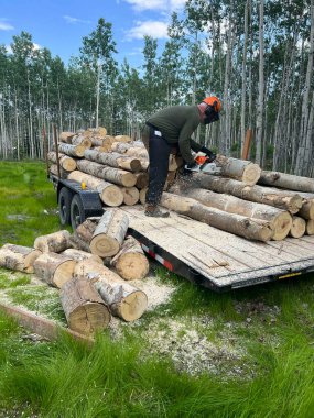 Delta Junction, Alaska - 1 Temmuz 2022: Bir yaz günü Alaska 'da elektrikli testereyle bir karavanın kütüklerini kesen adam.