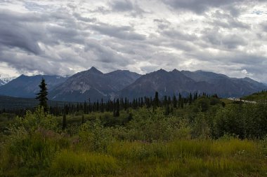 Alaska 'daki Denali Otoyolu' nda bulutlu bir yaz gününde yeşil bitkilerin ve ağaçların arkasındaki sarp dağlar..