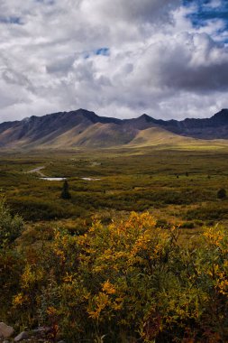 Alaska 'da renkli bir yaz günü Denali Otoyolu' nda bulutların arasından parlayan ışık demetleri..