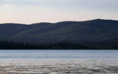 Alaska 'da bir yaz gecesi Birch Gölü' nün arkasındaki ağaçlarla kaplı tepelerde parlayan güneş..