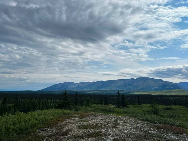 Dağlar yeşil ağaçların arkasında bulutlu bir yaz gününde Delta Kavşağı, Alaska yakınlarında..
