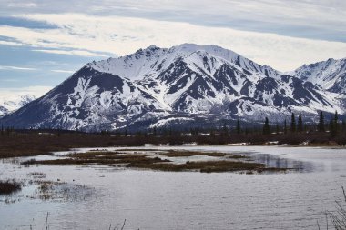 Alaska 'daki Denali Otobanı' nda bir bahar günü arka planda karlı dağlarla eriyen kar ve buzlar..