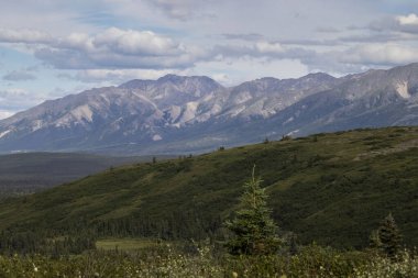 Dağlar ve tepeler bir yaz günü Alaska 'daki Richardson Karayolu yakınlarında.