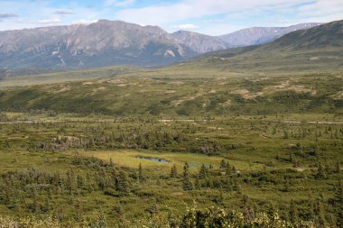 Delta Junction, Alaska yakınlarında bir yaz günü, arka planda dağları olan yeşil ağaçlarla çevrili küçük bir göl..