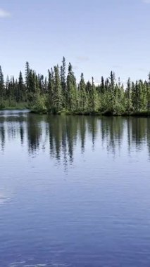 Delta kavşağındaki Clearwater Deresi, Alaska Bir yaz günü.