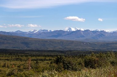 Alaska 'nın iç kesimlerinde güneşli bir yaz gününde dağlar.