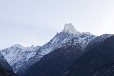 Balık kuyruğu veya Mt.Machhapuchhare Nepal