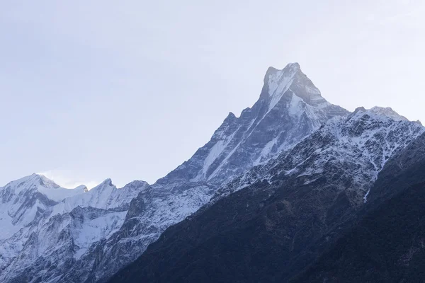 Rybí ocas nebo Mt.Machhapuchhare v Nepálu — Stock fotografie