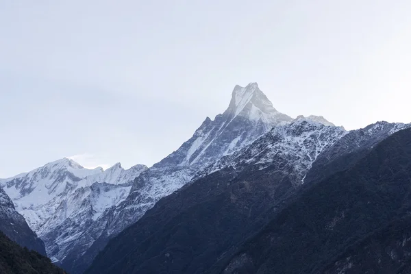 Rybí ocas nebo Mt.Machhapuchhare v Nepálu — Stock fotografie