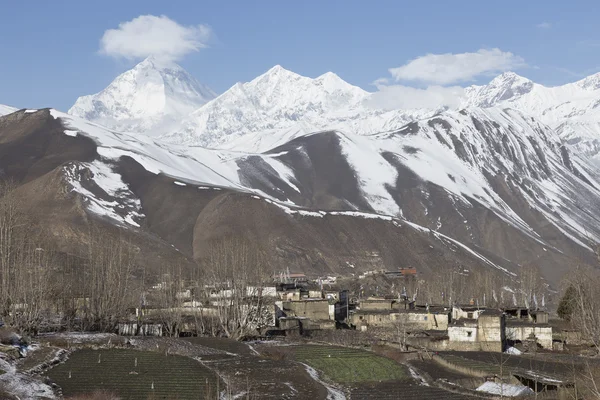 Lokala hus på Muktinath village i lägre Mustang distriktet, Nep — Stockfoto