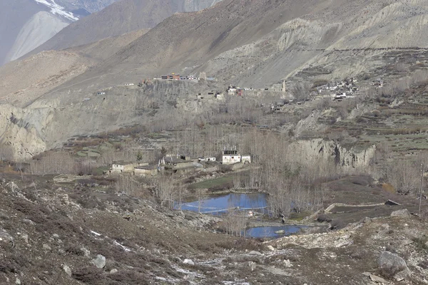 Maisons locales au village de Muktinath dans le district inférieur de Mustang, Nep — Photo