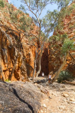 Alice Springs Northern Territory, Avustralya