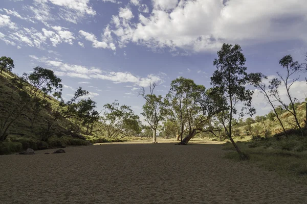 Alice quellen im Northern Territory, Australien — Stockfoto