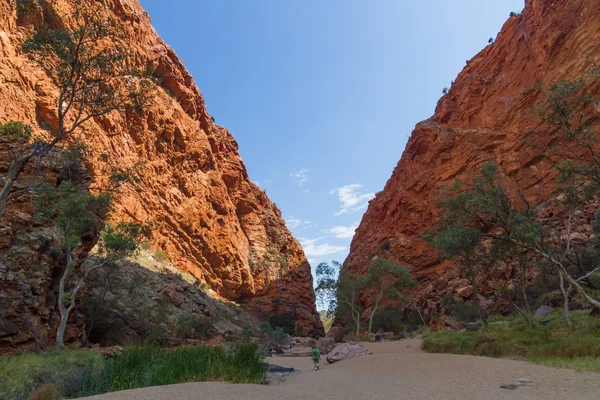 Alice Springs dans le Territoire du Nord, Australie — Photo