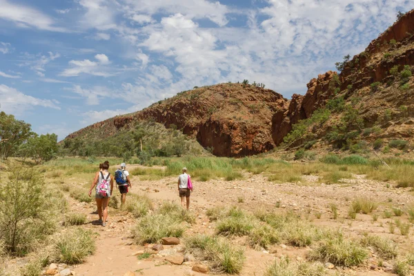 Alice quellen im Northern Territory, Australien — Stockfoto