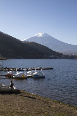Mt.Fuji Güz, Japonya