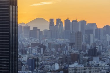 Tokyo city, Japonya