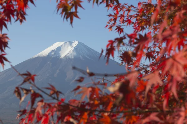 Monte Fuji in autunno, Giappone — Foto Stock