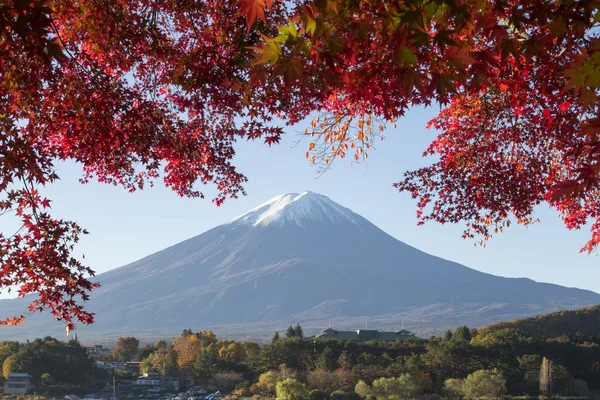 Javorové listy změní na podzim barvu v Mt.Fuji, Japonsko — Stock fotografie