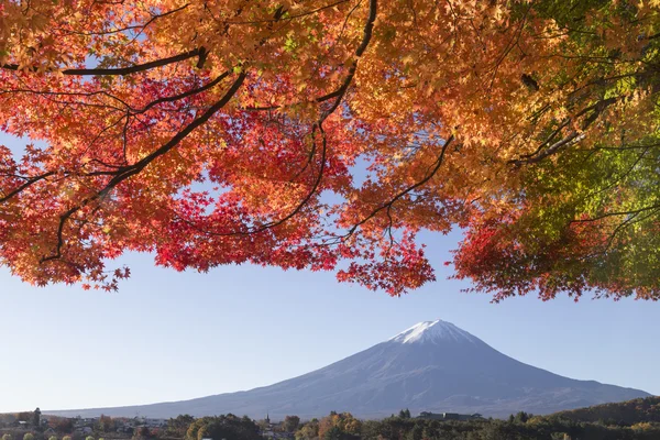 Javorové listy změní na podzim barvu v Mt.Fuji, Japonsko — Stock fotografie