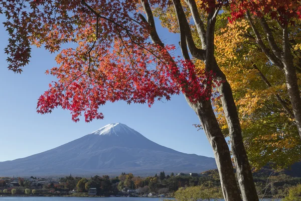 Javorové listy změní na podzim barvu v Mt.Fuji, Japonsko — Stock fotografie