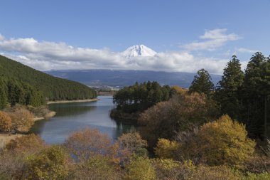 Mt.Fuji Güz, Japonya