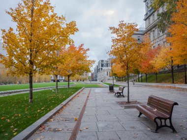 Sonbahar, Kanada Montreal şehir