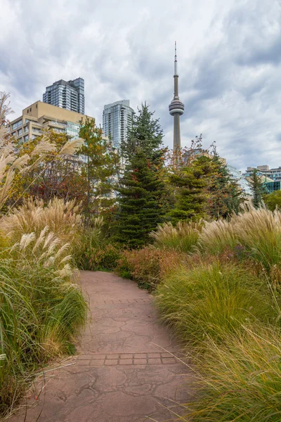 Toronto i Kanada i höst — Stockfoto