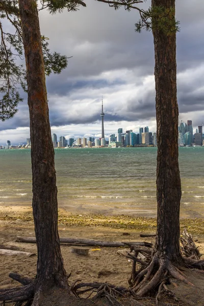 Toronto in de herfst, Canada — Stockfoto