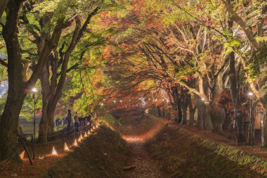Maple koridor Nashigawa River, Japonya