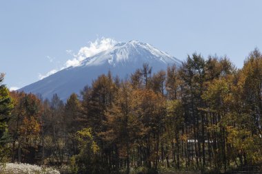 Mt.Fuji Güz, Japonya
