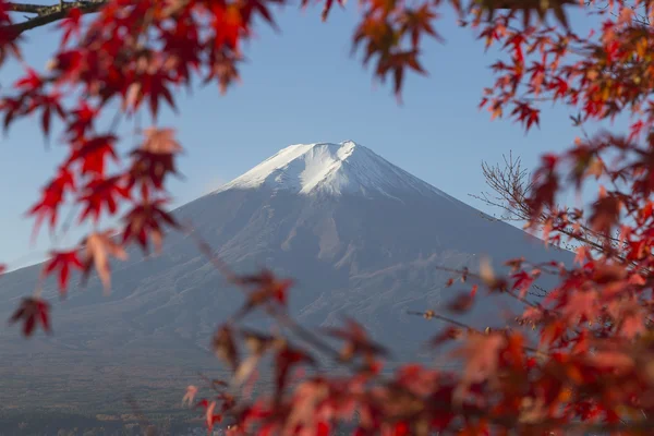 Mt.Fuji under hösten, Japan — Stockfoto