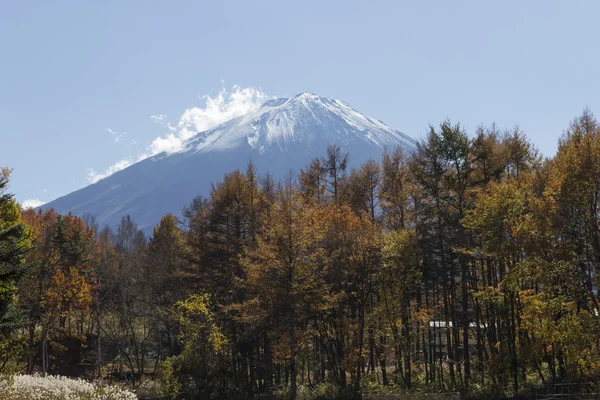 Mt.Fuji in autumn, Japan — Stock Photo, Image